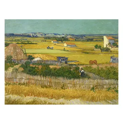 Obraz - reprodukce 70x50 cm The Harvest, Vincent van Gogh – Fedkolor