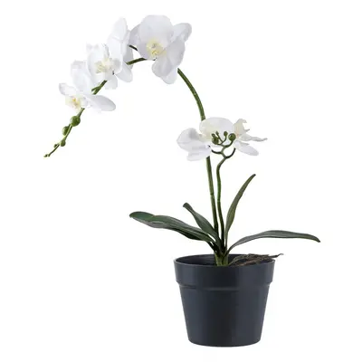 Umělá květina (výška 47 cm) Orchid – House Nordic