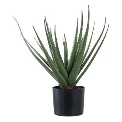 Umělá rostlina (výška 51 cm) Aloe Vera – House Nordic