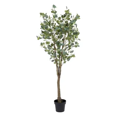 Umělý eukalyptus (výška 173 cm) Eucalyptus – Ixia