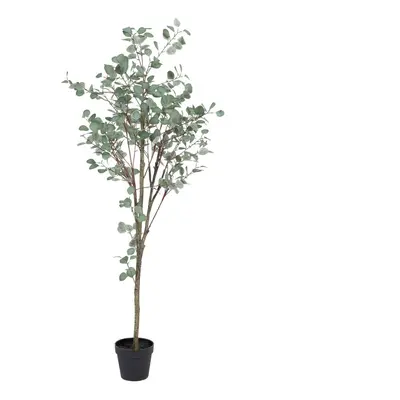 Umělý eukalyptus (výška 180 cm) Eucalyptus – Ixia