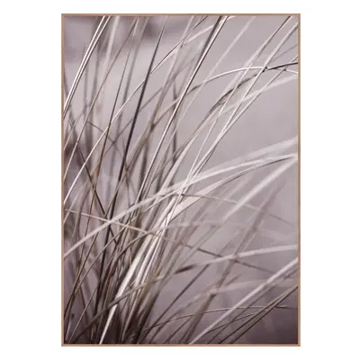 Plakát v rámu 50x70 cm Mellow Grasses 1 – Malerifabrikken