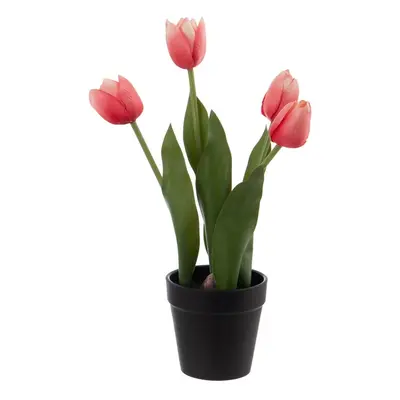 Umělá květina (výška 31 cm) Tulips – Ixia