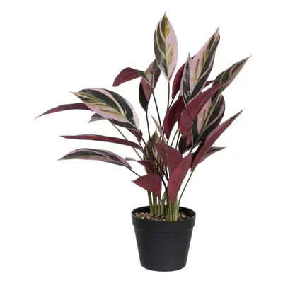 Umělá rostlina (výška 55 cm) Bird of Paradise – Ixia