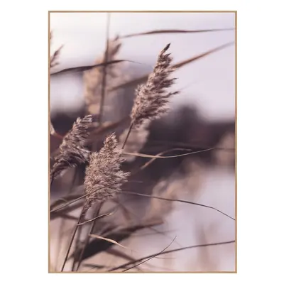 Plakát v rámu 50x70 cm Mellow Grasses 3 – Malerifabrikken