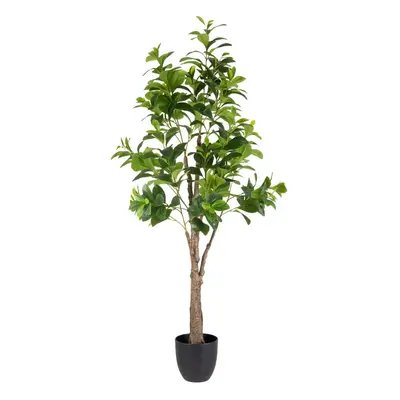 Umělá rostlina (výška 145 cm) Peperomia – Ixia