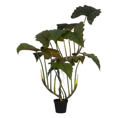 Umělá rostlina (výška 185 cm) Alocasia – Ixia