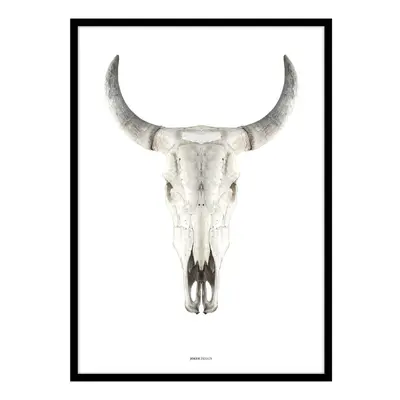 Plakát v rámu 50x70 cm Cow Skull – Malerifabrikken