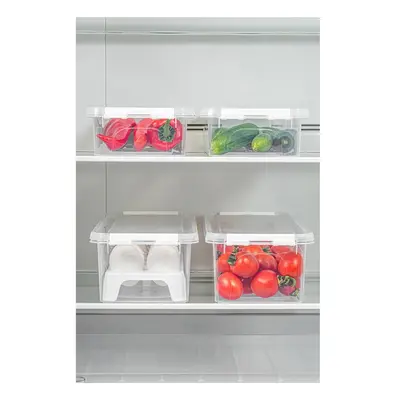 Plastové organizéry do lednice v sadě 4 ks 36x14 cm Lukutu – Hermia