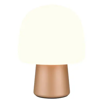 Stolní lampa v bílo-bronzové barvě se skleněným stínidlem (výška 27 cm) Steen – Trio