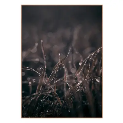 Obraz 50x70 cm Mellow Grasses 5 – Malerifabrikken