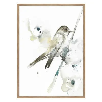 Obraz 50x70 cm Bird 2 – Malerifabrikken