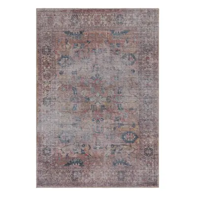 Koberec 290x200 cm Kaya - Asiatic Carpets