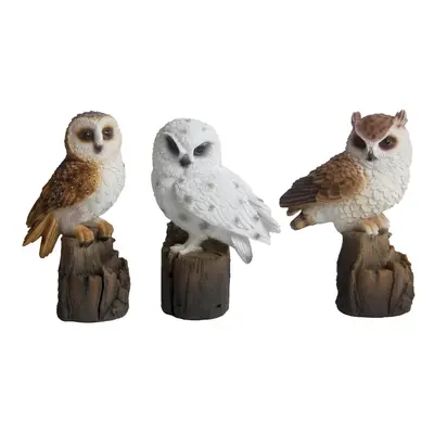 Polyresinová zahradní soška Owl – Esschert Design