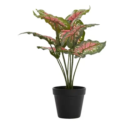 Umělá rostlina (výška 40 cm) Caladium – Light & Living