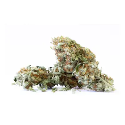 Super Silver Haze CBG - Indoor CBD květy Cannapio 500g