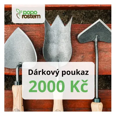 Dárkový poukaz 2000 Kč