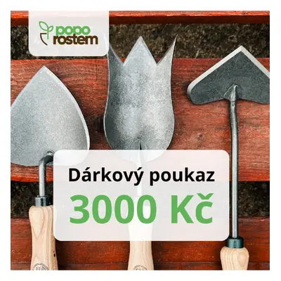 Dárkový poukaz 3000 Kč