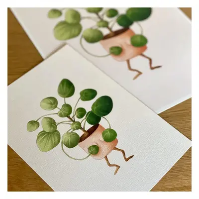 Botanická ilustrace Zahanbená pilea A5