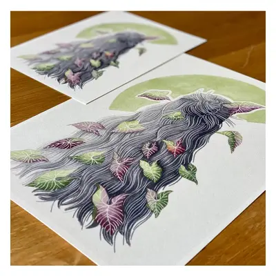 Botanická ilustrace Stříbro a syngonium A5