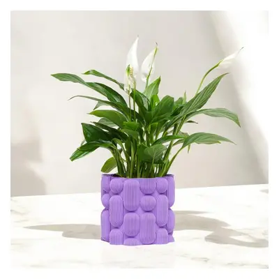 Plantbee Květináč Elgus 19cm černá