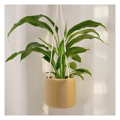 Plantbee Závěsný Květináč Umbert 15cm fialová