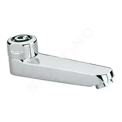 Grohe 13461000 - Výtok 115 mm, chrom