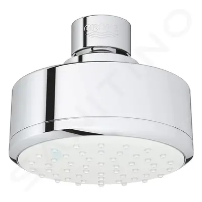 Grohe 26051001 - Hlavová sprcha Cosmopolitan 100, 1 proud, chrom