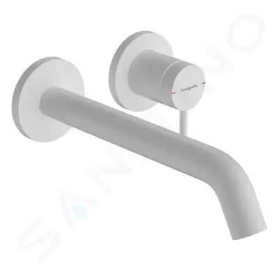 Hansgrohe 73351700 - Umyvadlová baterie pod omítku, s výpustí, 2-otvorová instalace, EcoSmart, m