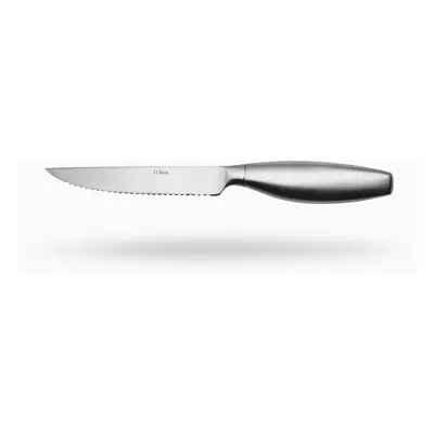 Steakový nůž s dutou rukojetí 23,5cm - matný – Touch me - 118551