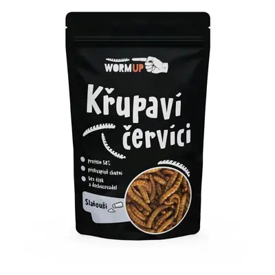 WormUp Křupaví červíci se solí 20g