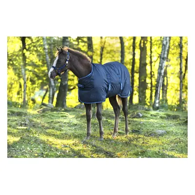 AMIGO Deka výběhová Amigo, pro hříbata, 50 g, navy/electric blue Délka zad: