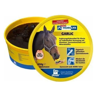 Horslyx Liz pro koně Garlic HORSLYX, s příchutí česneku, 650 g