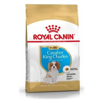 ROYAL CANIN Granule pro psy Cavalir King Charles Junior Royal Canin, 1,5 kg