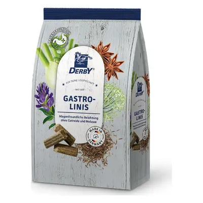 Derby Pamlsky Gastrolinis Derby, 3 kg