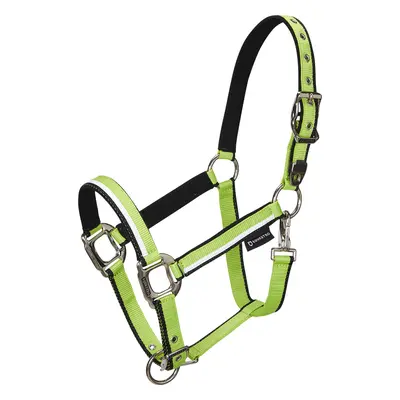 EQUESTRO Set ohlávky s vodítkem White Trim EQUESTRO, lime/black