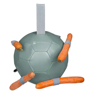 WALDHAUSEN Hračka pro koně Carrot Waldhausen, mistletoe