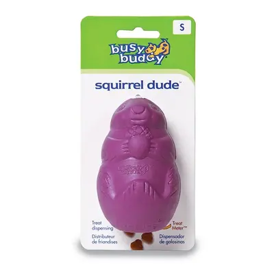 PetSafe Hračka pro psy Squirrel Dude PetSafe, S, purple