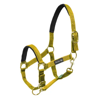 Umbria Equitazione Ohlávka nylonová Neoprene Umbria Equitazione, yellow