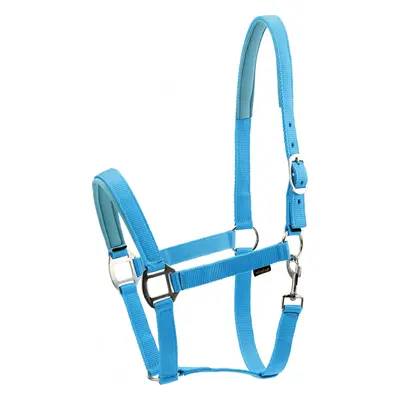 Horseguard Ohlávka se stříbrným kováním Nylon II HorseGuard, turquoise