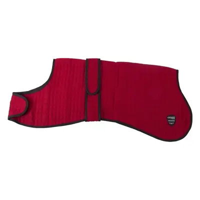 Catago Deka pro psy Cooler CATAGO, red