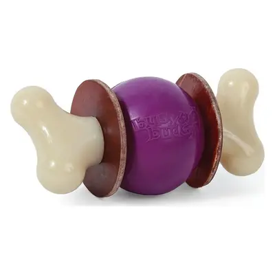 PetSafe Hračka pro psy Bouncy Bone, M, purple/beige