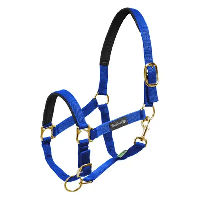 Umbria Equitazione Ohlávka nylonová Neoprene Umbria Equitazione, royal blue