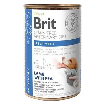 Brit VD Konzerva pro zvířata BRIT, recovery, 400 g