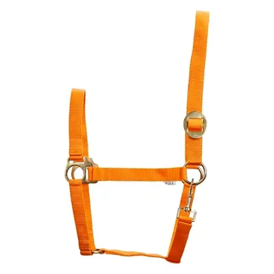 Horseguard Ohlávka Nylon Slide HorseGuard, orange