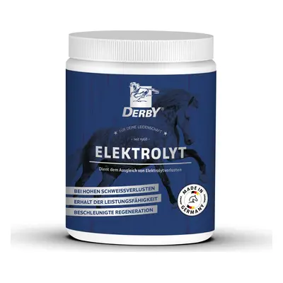 Derby Elektrolyty pro koně DERBY, 1 kg