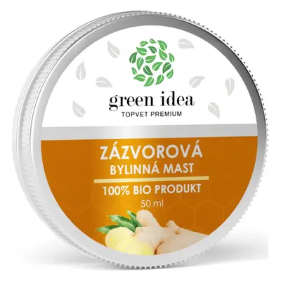 Green idea Mast zázvorová GREEN IDEA, 50 ml