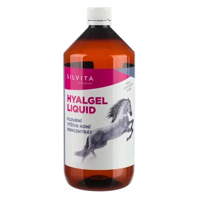 Hyalgel Sirup Hyalgel, 1000 ml