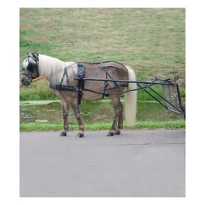 WALDHAUSEN Postroj Star Economic pony, černý