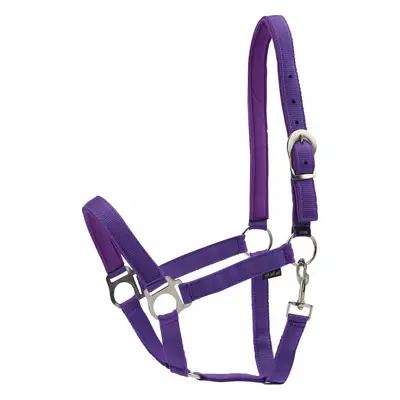 Horseguard Ohlávka se stříbrným kováním Nylon HorseGuard, purple